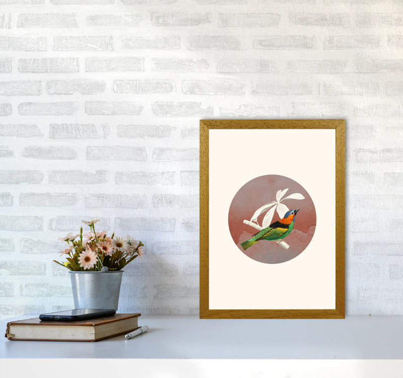 Bird Collage II Art Print by Seven Trees Design A3 Print Only