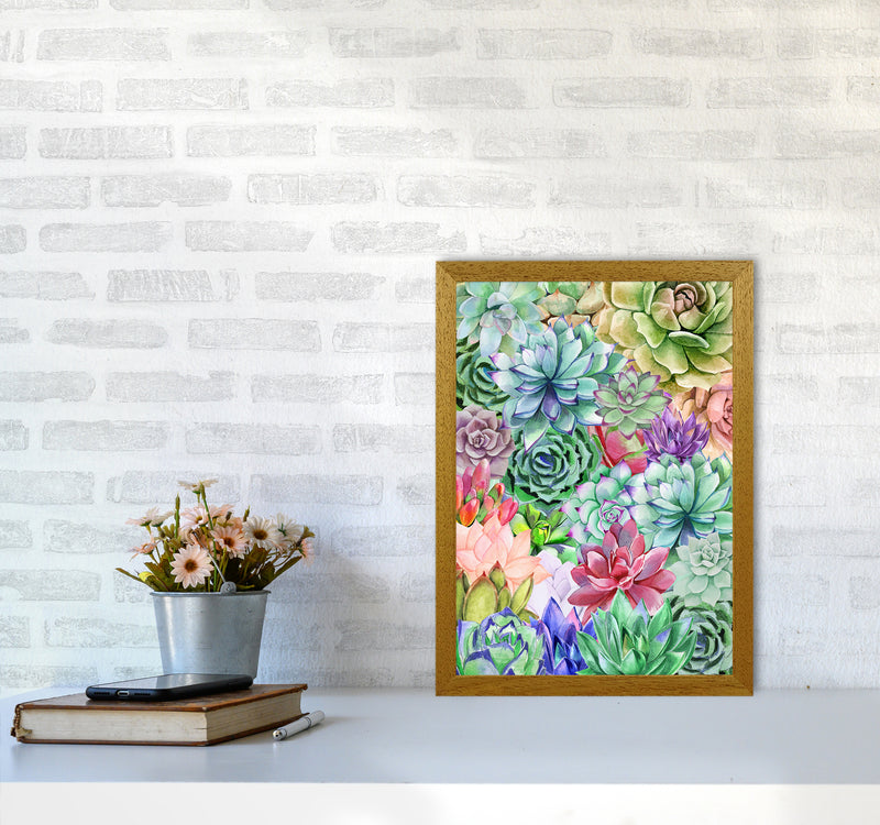 Succulents Paradise Botanical Art Print by Seven Trees Design A3 Print Only