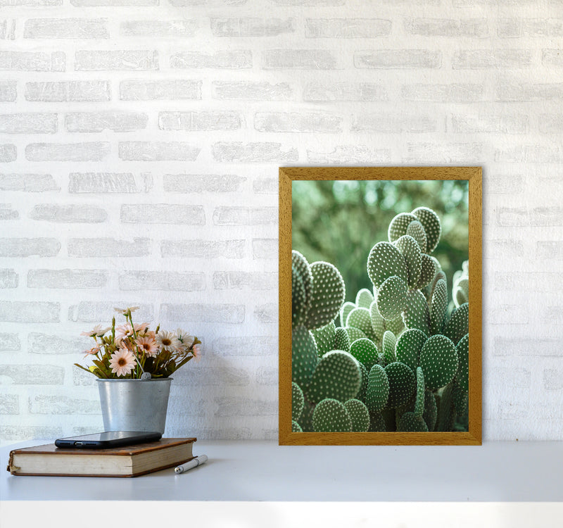 The Cacti Cactus Photography Art Print by Seven Trees Design A3 Print Only