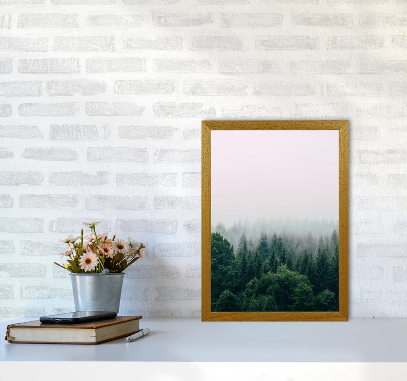 The Fog And The Forest I Photography Art Print by Seven Trees Design A3 Print Only