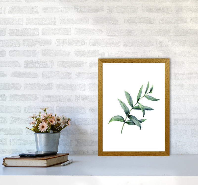 Watercolor Eucalyptus I Art Print by Seven Trees Design A3 Print Only