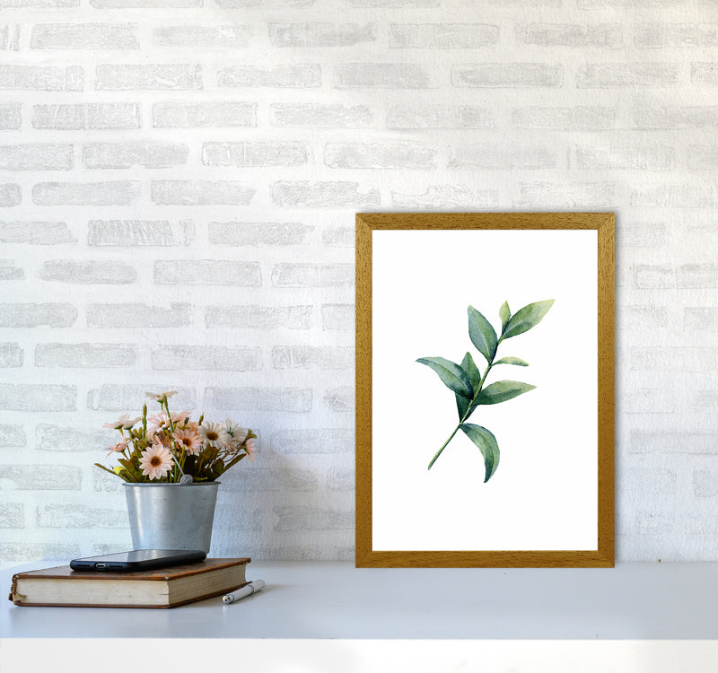 Watercolor Eucalyptus II Art Print by Seven Trees Design A3 Print Only