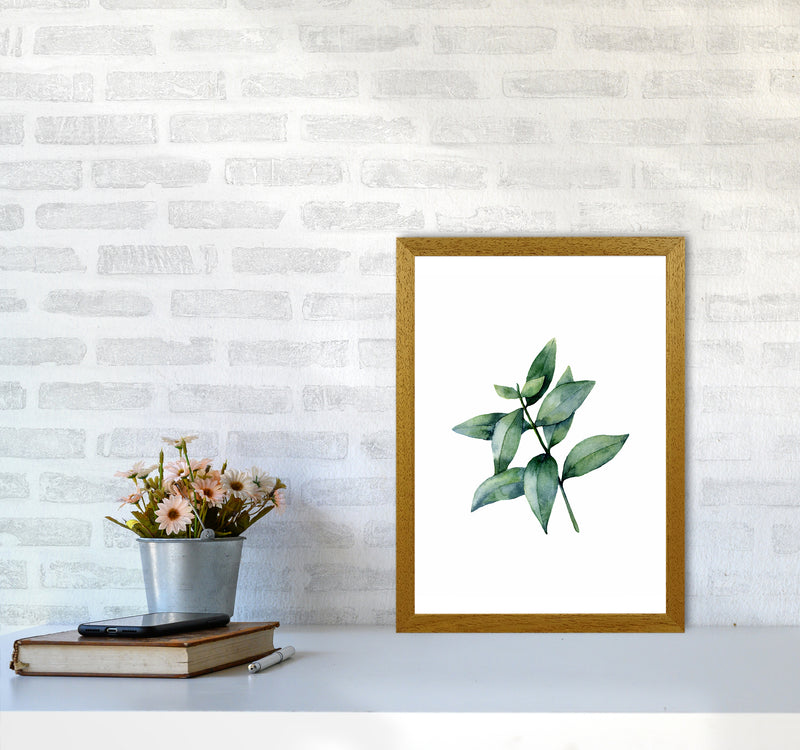 Watercolor Eucalyptus III Art Print by Seven Trees Design A3 Print Only