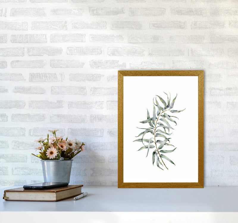 Watercolor Eucalyptus IV Art Print by Seven Trees Design A3 Print Only