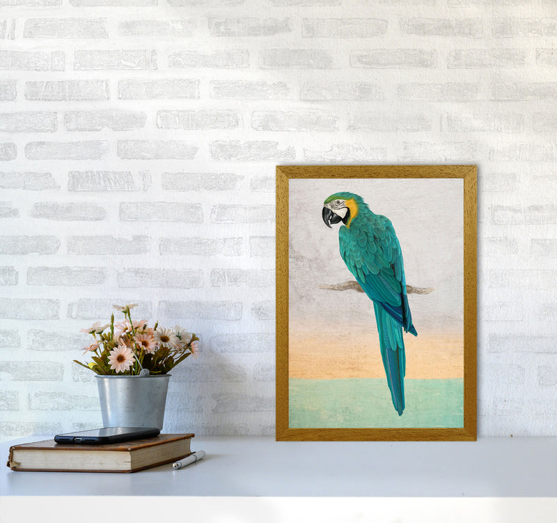 Graffiti Macaw Art Print by Seven Trees Design A3 Print Only