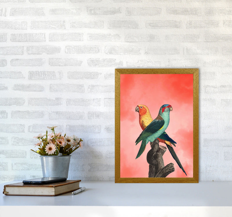 The Birds and the pink sky I Art Print by Seven Trees Design A3 Print Only