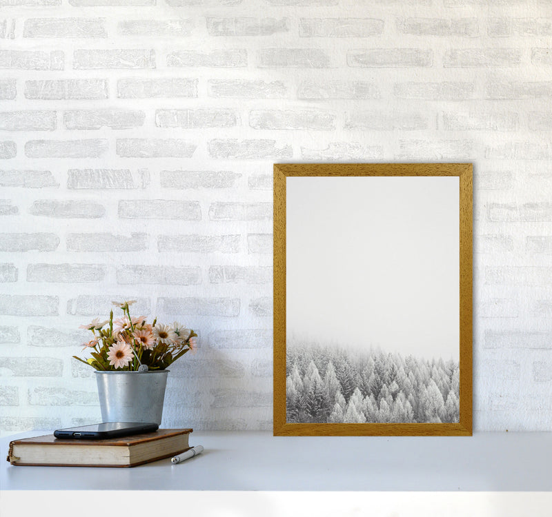 The White Forest Art Print by Seven Trees Design A3 Print Only