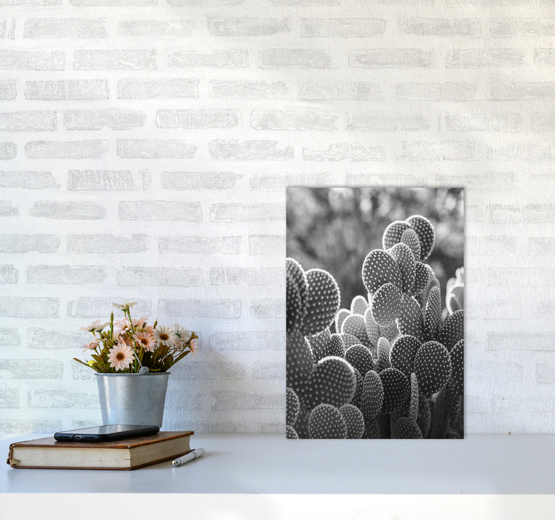 The Cacti Cactus B&W Art Print by Seven Trees Design A3 Black Frame