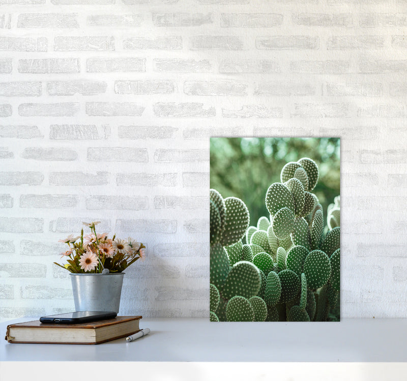 The Cacti Cactus Photography Art Print by Seven Trees Design A3 Black Frame