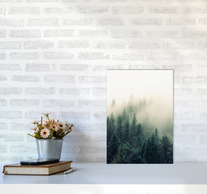 The Fog And The Forest II Photography Art Print by Seven Trees Design A3 Black Frame