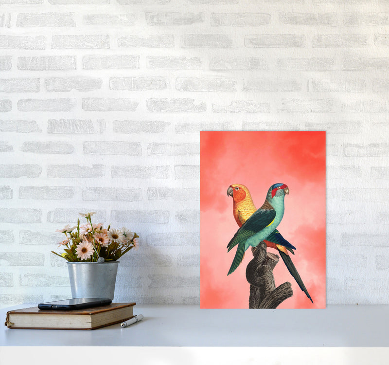 The Birds and the pink sky I Art Print by Seven Trees Design A3 Black Frame