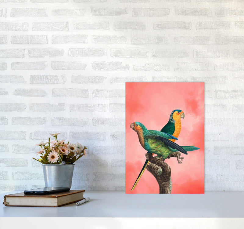 The Birds and the pink sky II Art Print by Seven Trees Design A3 Black Frame