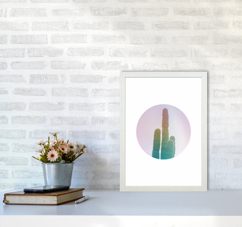 Circular Cacti Art Print by Seven Trees Design A3 Oak Frame