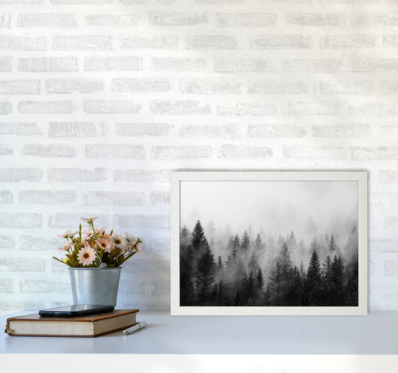 B&W Forest Photography Art Print by Seven Trees Design A3 Oak Frame