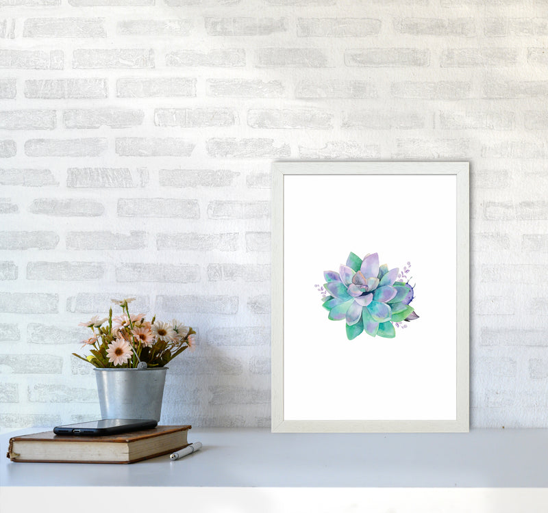 Aqua Succulent Botanical Art Print by Seven Trees Design A3 Oak Frame