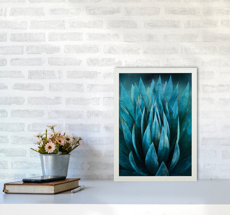 Blue Succulent Art Print by Seven Trees Design A3 Oak Frame