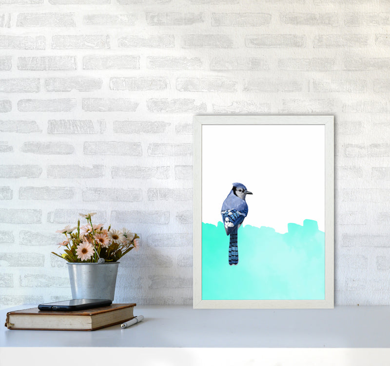 Bird Blue Art Print by Seven Trees Design A3 Oak Frame