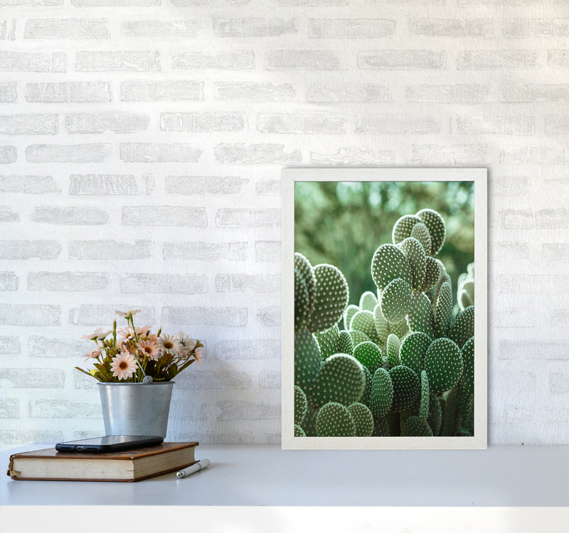 The Cacti Cactus Photography Art Print by Seven Trees Design A3 Oak Frame