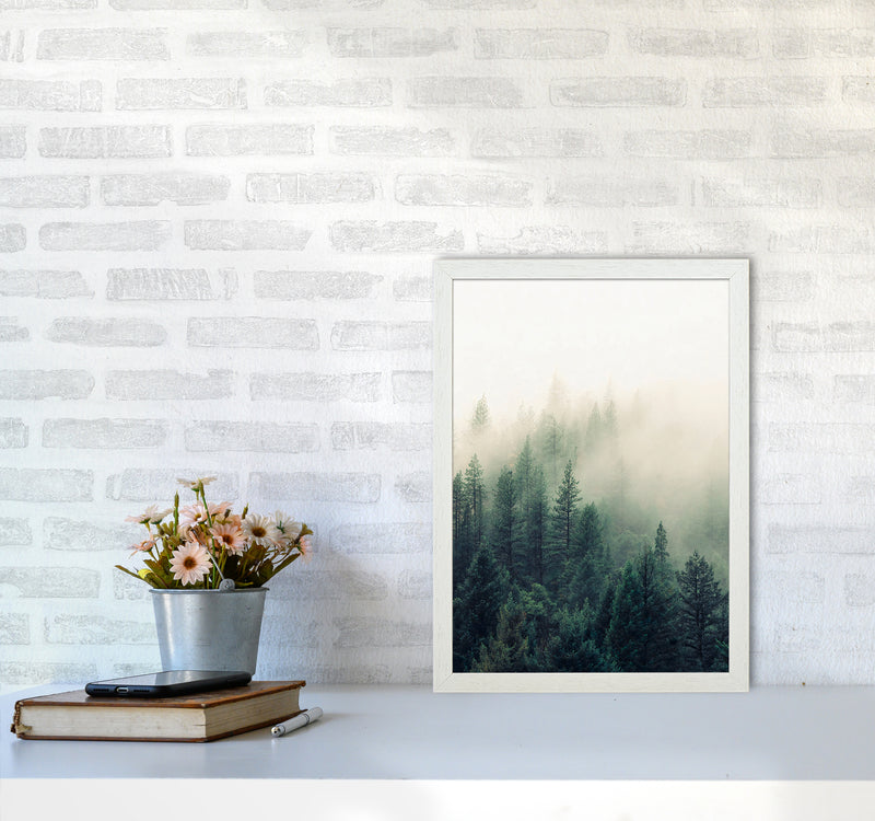 The Fog And The Forest II Photography Art Print by Seven Trees Design A3 Oak Frame