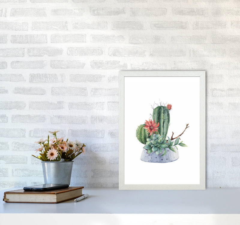 The Watercolor Cactus Art Print by Seven Trees Design A3 Oak Frame