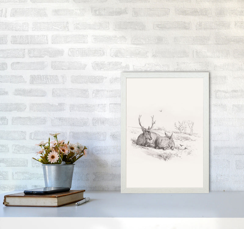 Reindeer Chilling Art Print by Seven Trees Design A3 Oak Frame