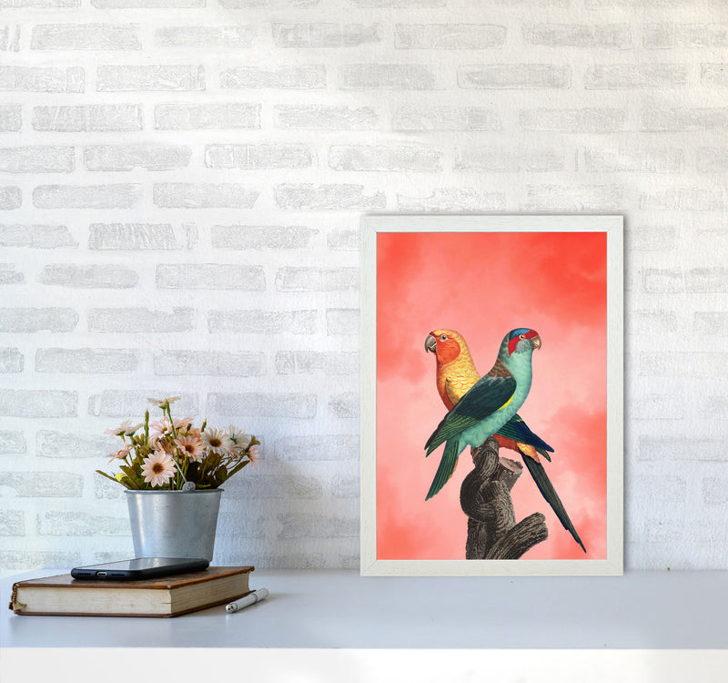 The Birds and the pink sky I Art Print by Seven Trees Design A3 Oak Frame