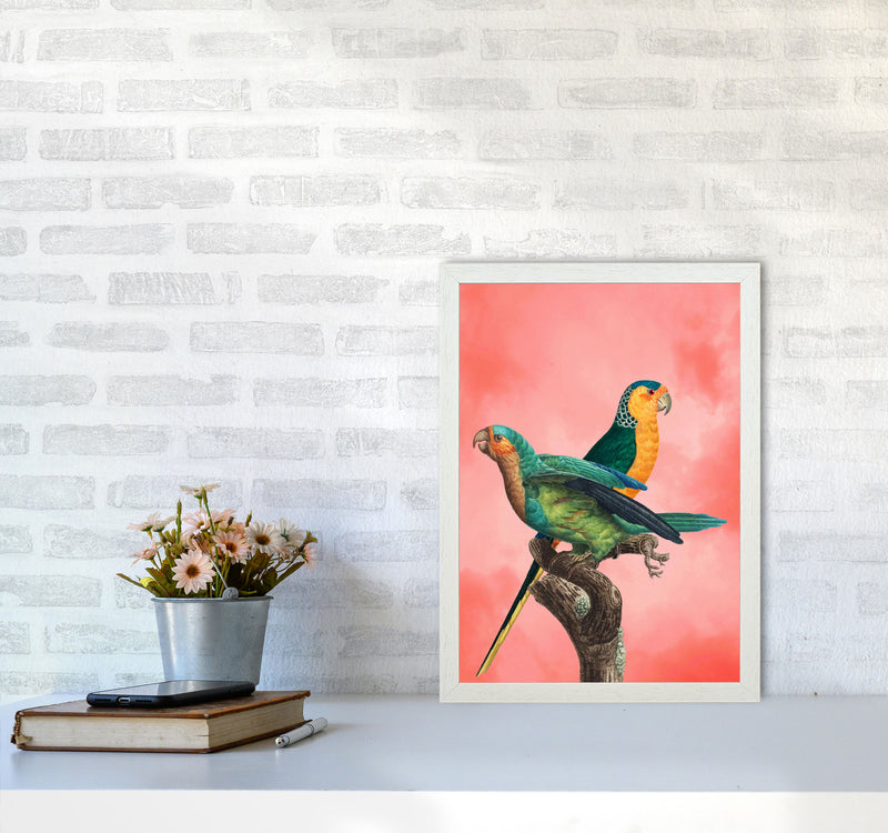 The Birds and the pink sky II Art Print by Seven Trees Design A3 Oak Frame