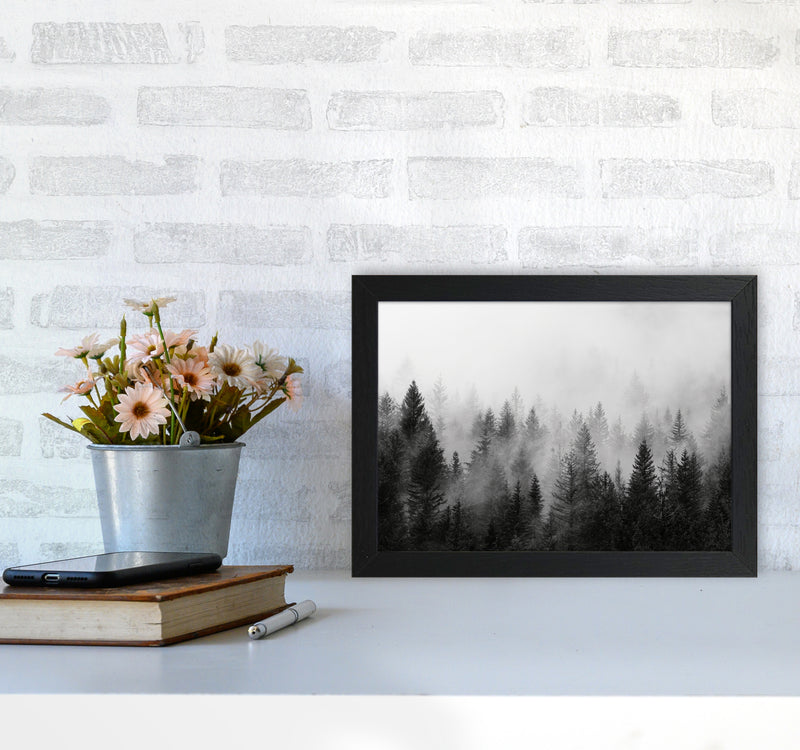B&W Forest Photography Art Print by Seven Trees Design A4 White Frame