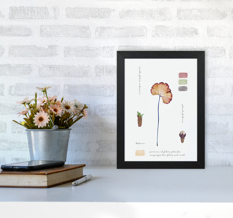 Botanic Notes Art Print by Seven Trees Design A4 White Frame