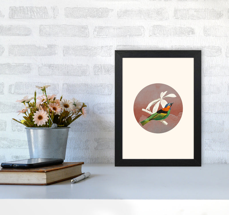 Bird Collage II Art Print by Seven Trees Design A4 White Frame