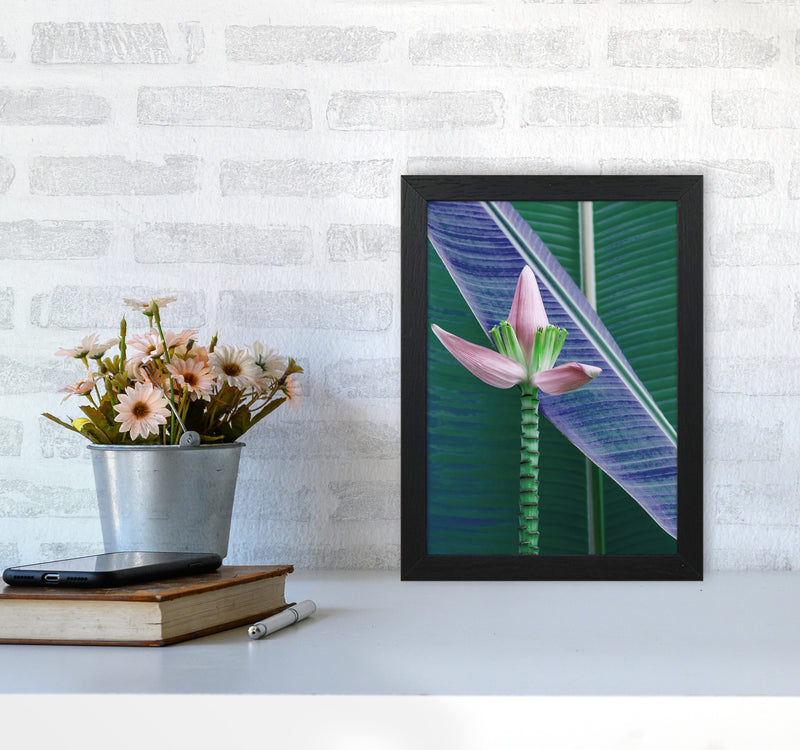 The Banana Flower Art Print by Seven Trees Design A4 White Frame