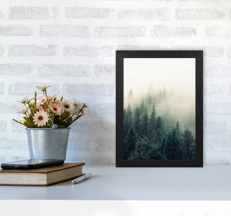 The Fog And The Forest II Photography Art Print by Seven Trees Design A4 White Frame