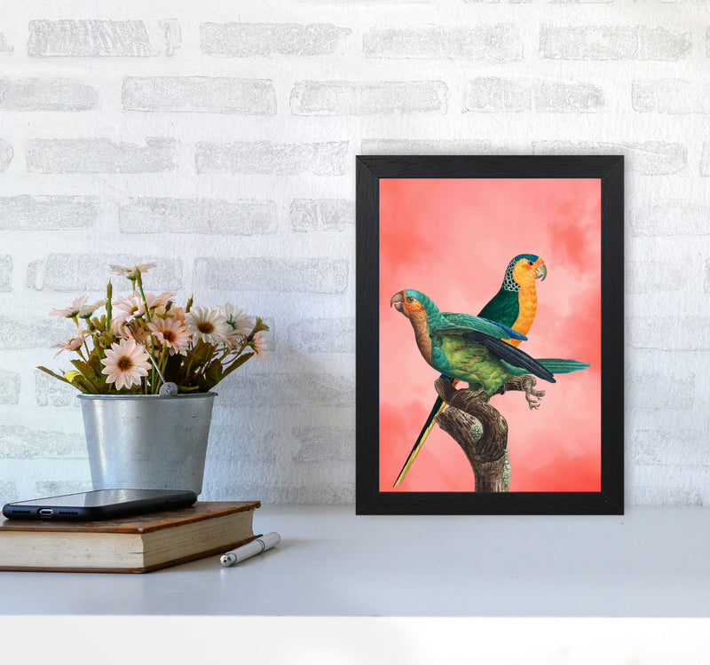 The Birds and the pink sky II Art Print by Seven Trees Design A4 White Frame