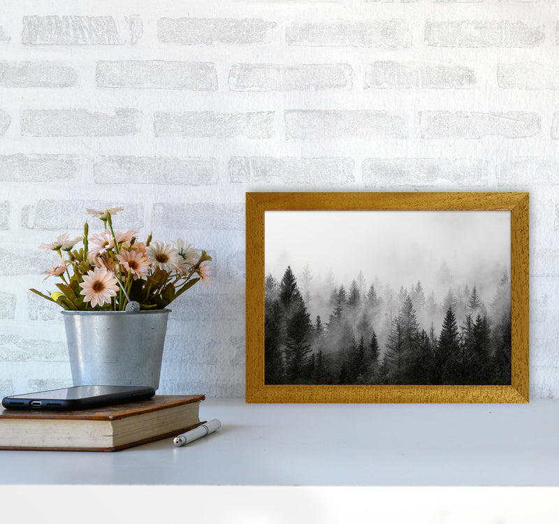 B&W Forest Photography Art Print by Seven Trees Design A4 Print Only