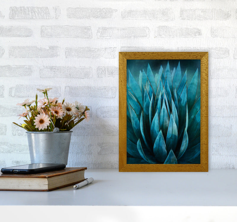 Blue Succulent Art Print by Seven Trees Design A4 Print Only