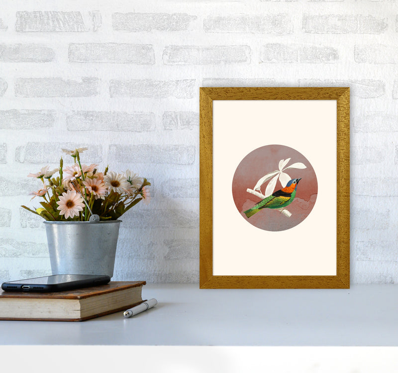 Bird Collage II Art Print by Seven Trees Design A4 Print Only