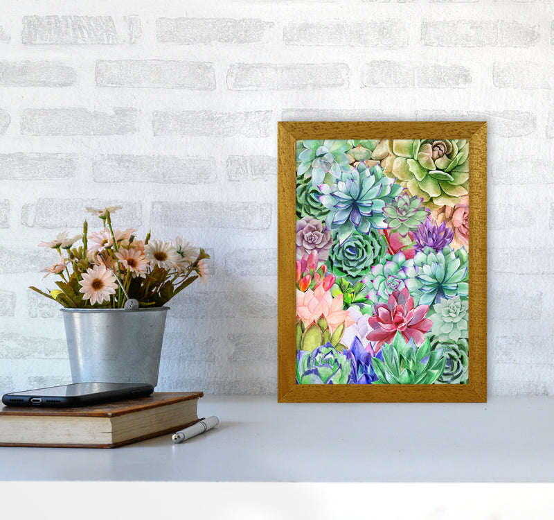 Succulents Paradise Botanical Art Print by Seven Trees Design A4 Print Only