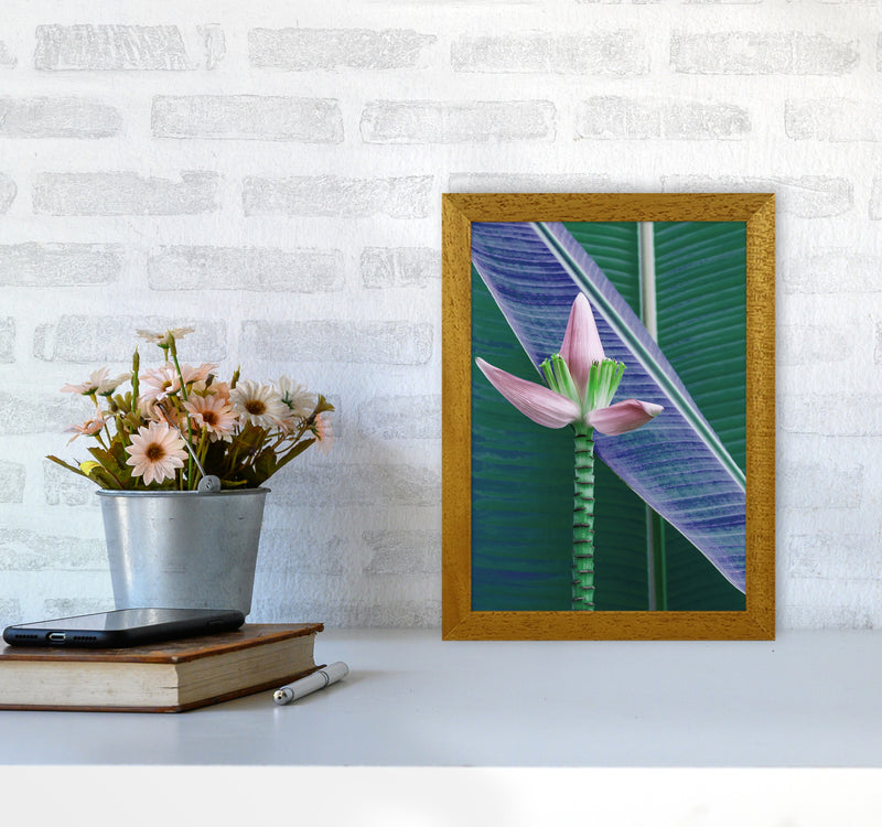 The Banana Flower Art Print by Seven Trees Design A4 Print Only