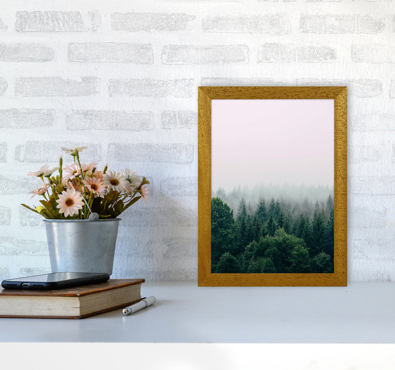 The Fog And The Forest I Photography Art Print by Seven Trees Design A4 Print Only