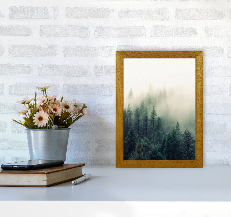 The Fog And The Forest II Photography Art Print by Seven Trees Design A4 Print Only
