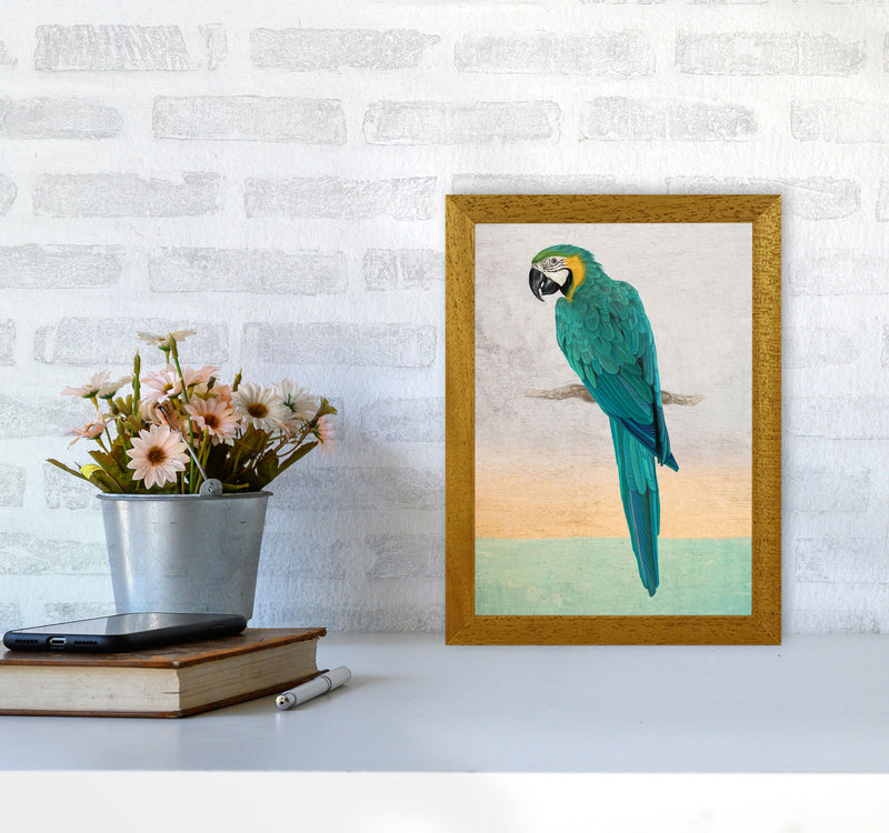 Graffiti Macaw Art Print by Seven Trees Design A4 Print Only