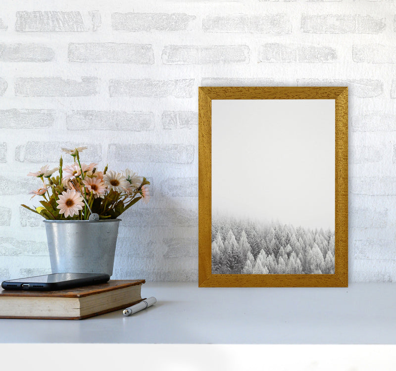 The White Forest Art Print by Seven Trees Design A4 Print Only
