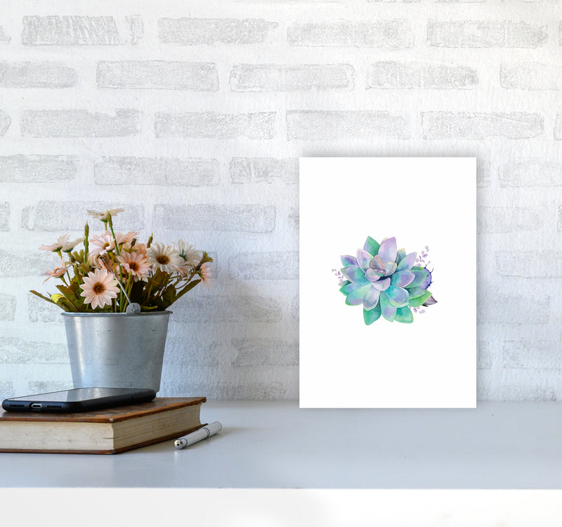 Aqua Succulent Botanical Art Print by Seven Trees Design A4 Black Frame