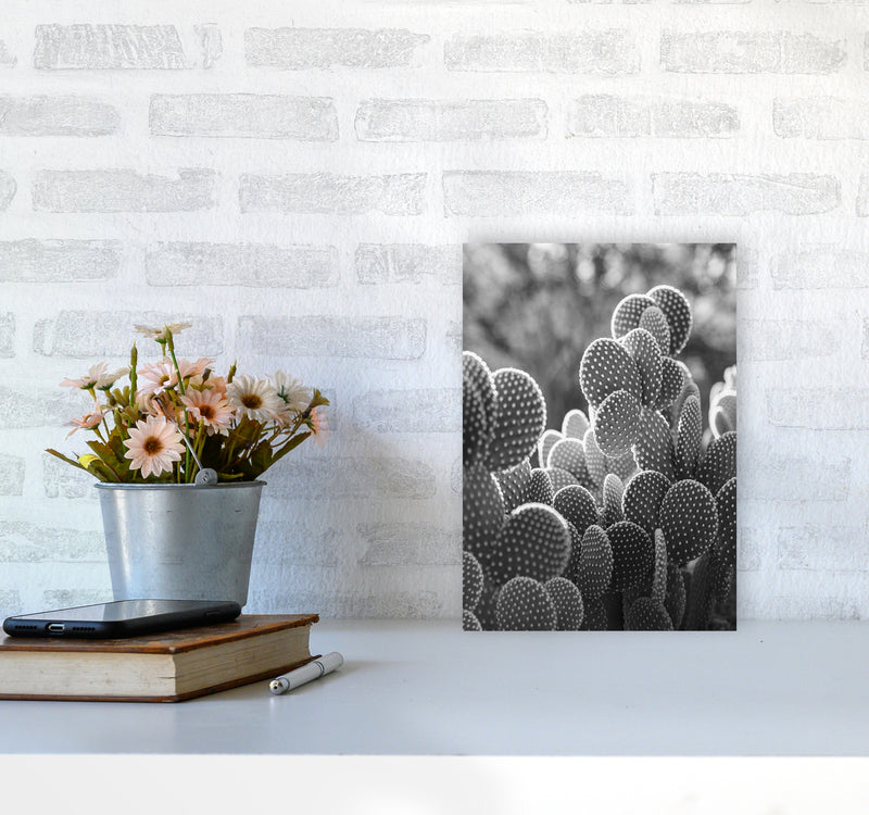 The Cacti Cactus B&W Art Print by Seven Trees Design A4 Black Frame