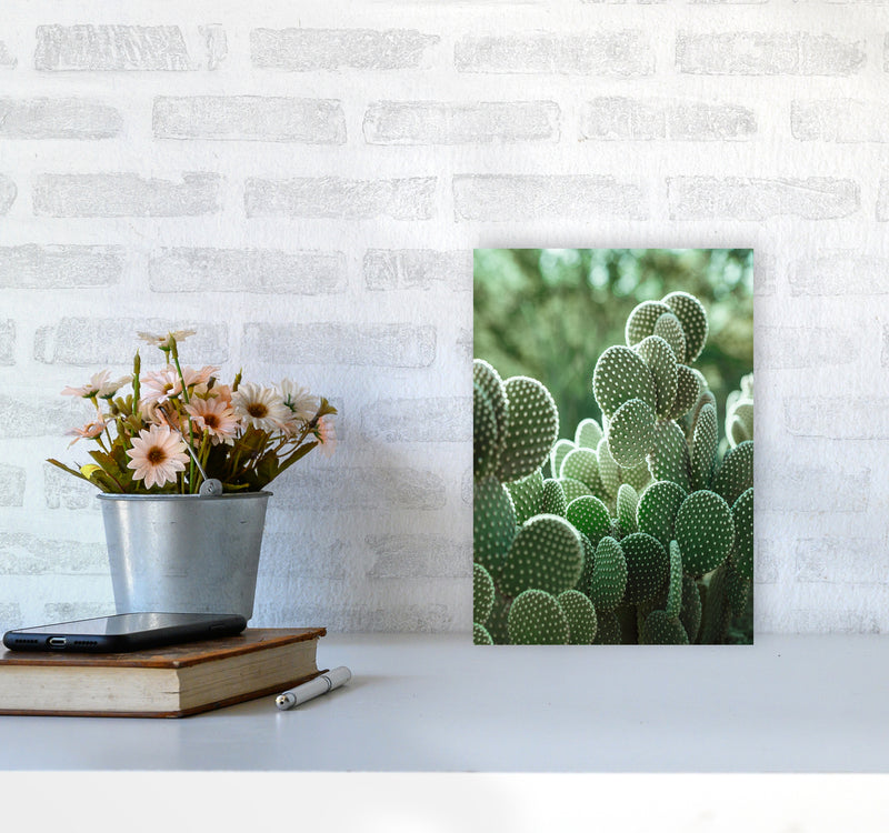 The Cacti Cactus Photography Art Print by Seven Trees Design A4 Black Frame