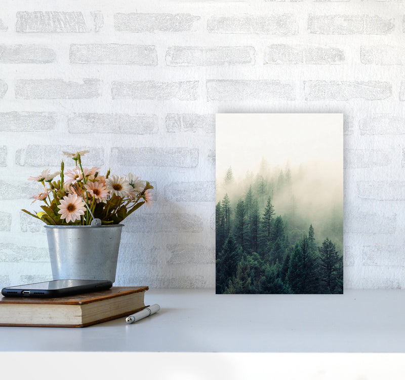 The Fog And The Forest II Photography Art Print by Seven Trees Design A4 Black Frame