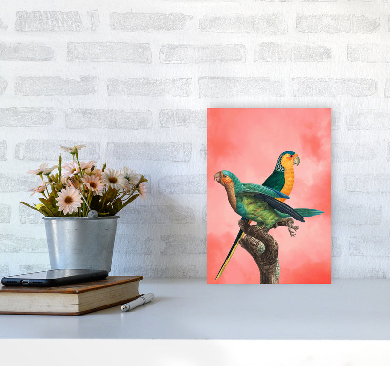 The Birds and the pink sky II Art Print by Seven Trees Design A4 Black Frame