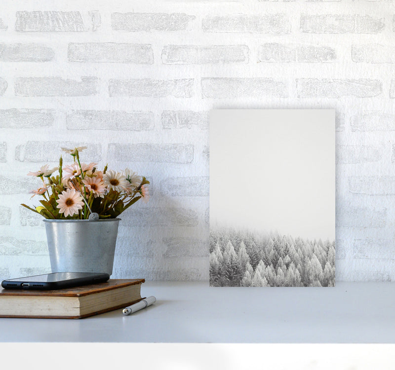 The White Forest Art Print by Seven Trees Design A4 Black Frame