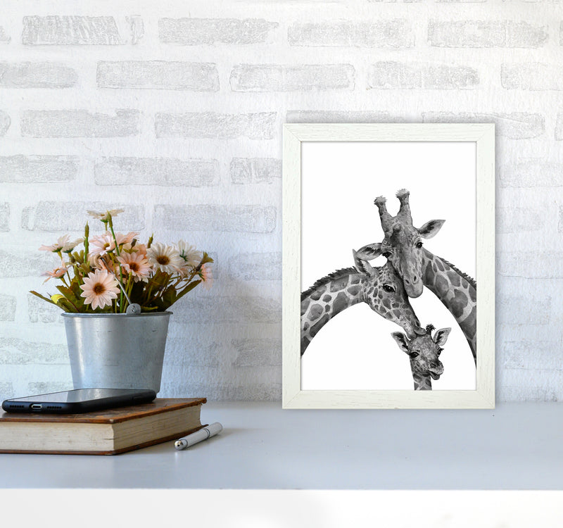 Giraffe Family Photography Art Print by Seven Trees Design A4 Oak Frame