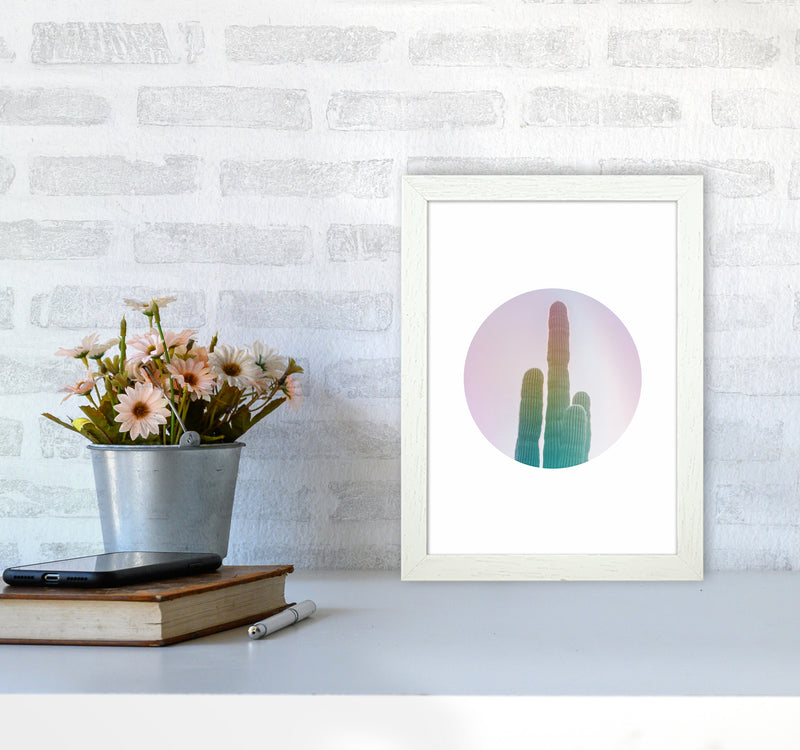 Circular Cacti Art Print by Seven Trees Design A4 Oak Frame